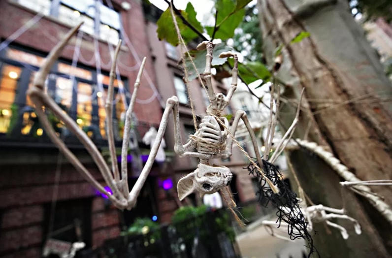 [ẢNH] Vợ chồng Tổng thống Trump mở tiệc Halloween tại Nhà Trắng