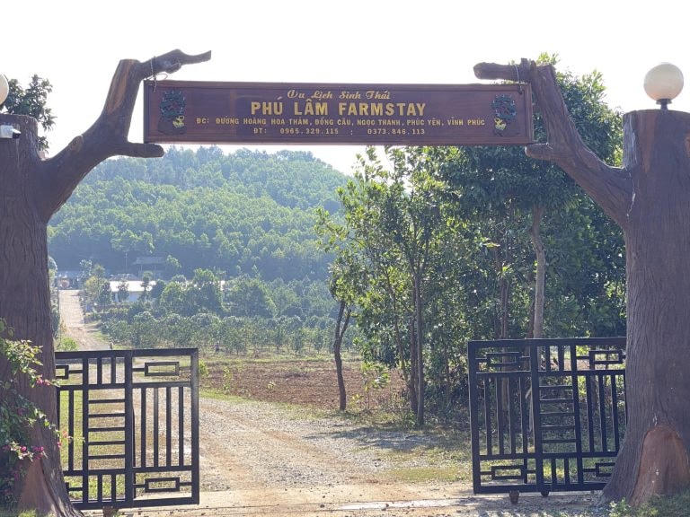 Cần xử lý dứt điểm vi phạm của Khu du lịch sinh thái Phú Lâm Farmstay xây dựng trên đất rừng.