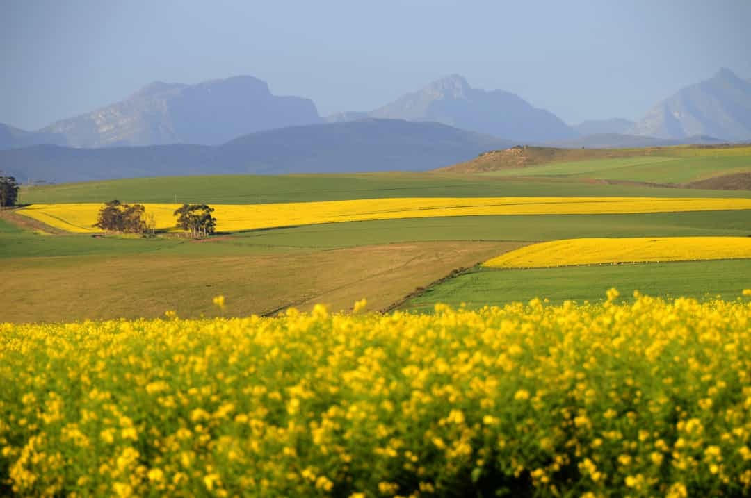 Châu Phi: Khám phá những thắng cảnh ngoạn mục