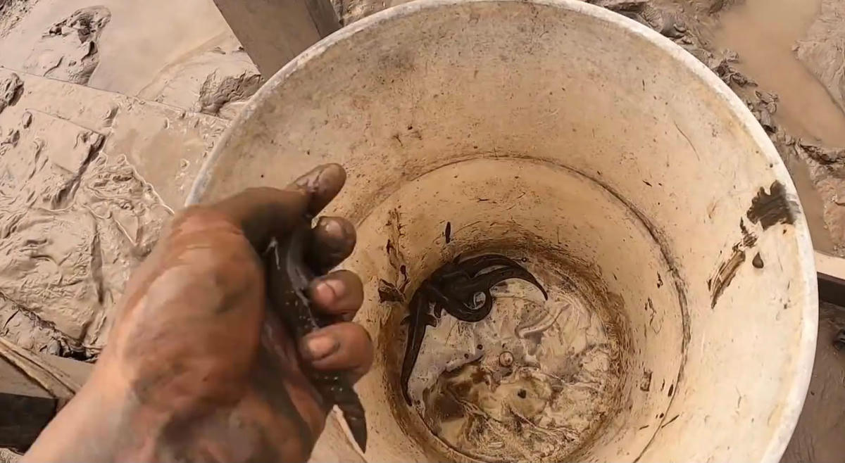 Sản phẩm ngày càng hiếm hoi.