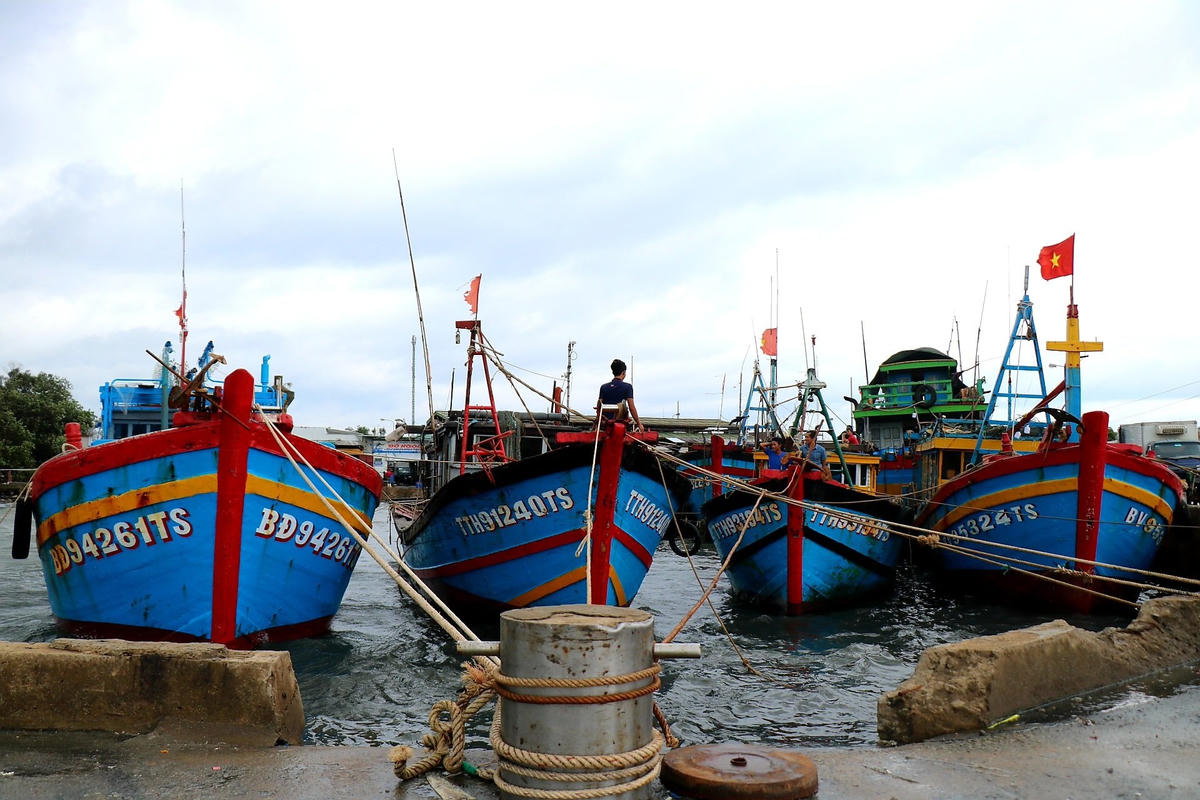 Sáng 11/9, tại cảng cá Thuận An (phường Thuận An, TP Huế), các ngư dân có tàu đánh cá trên biển trở về đang gấp rút triển khai công tác neo đậu để ứng phó với bão số 5.