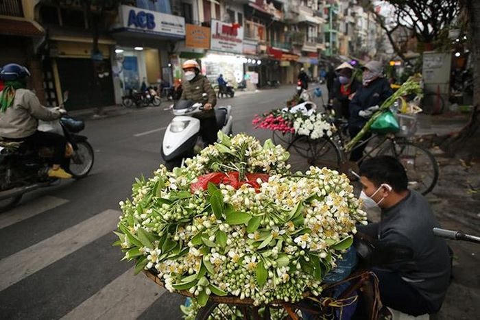 Dọc các con phố Hàng Lược, Đồng Xuân, Yên Phụ.... những xe hoa bưởi mang những chùm hoa trắng tinh khôi, hương thơm nồng nàn đủ để sâu lắng người qua kẻ lại.
