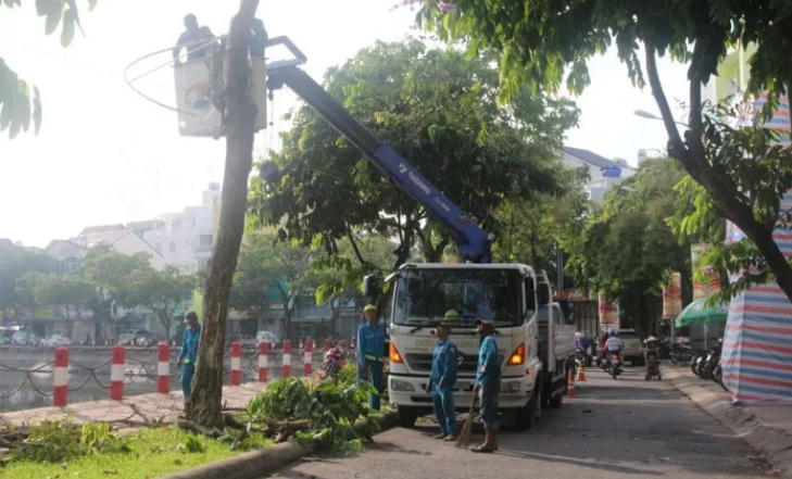 Tỉa cành giảm thiểu tác hạitrước mùa mưa bão.