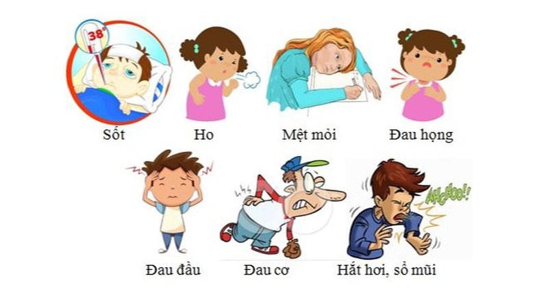 Các biểu hiện của bệnh cúm. (Ảnh minh hoạ) 