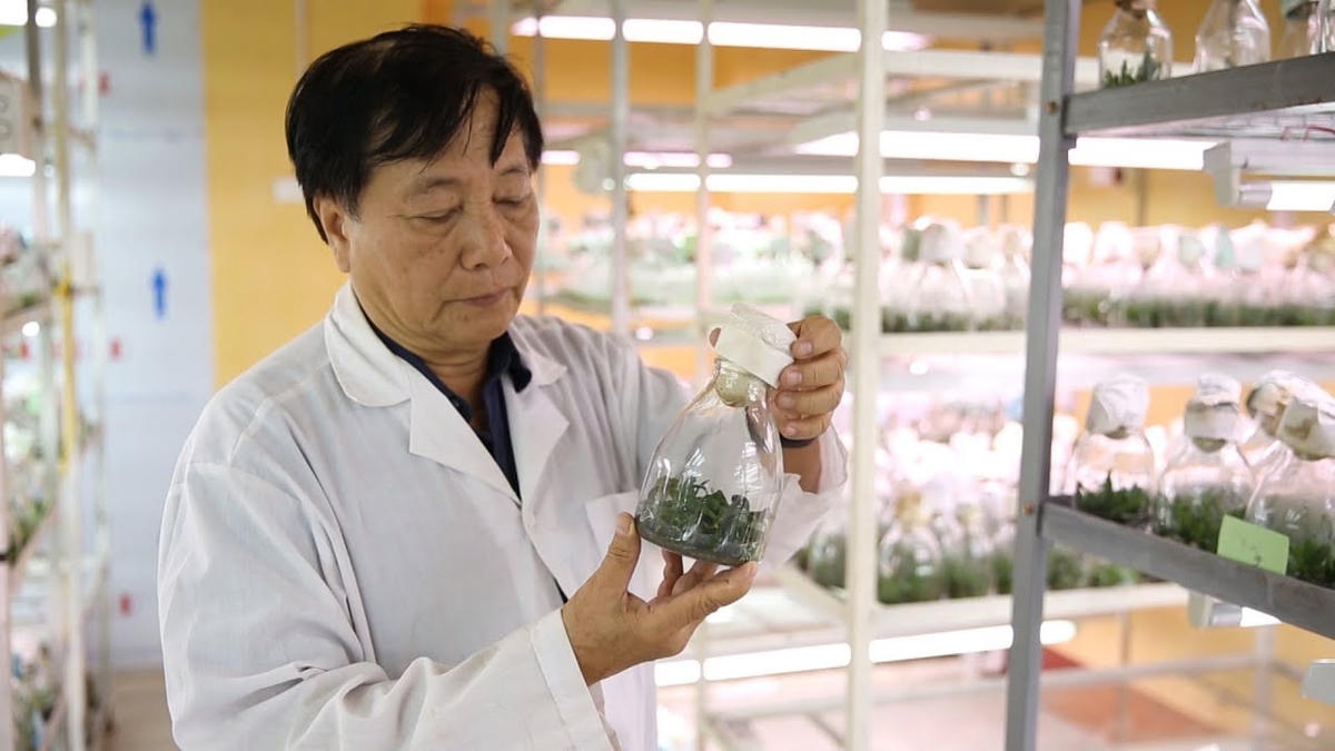 GS.TS. NGND Nguyễn Quang Thạch.  