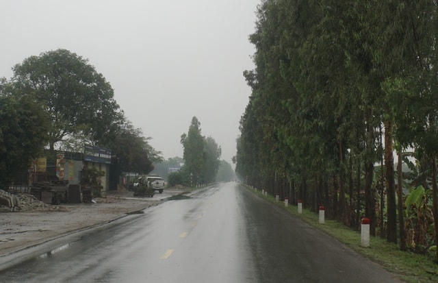 Trục đường 391 cũng rất vắng vẻ.  