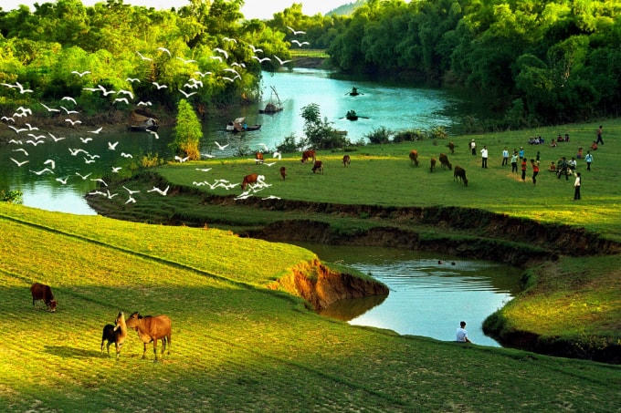 Cảnh đẹp thơ mộng tại Vườn cò Hải Lựu.