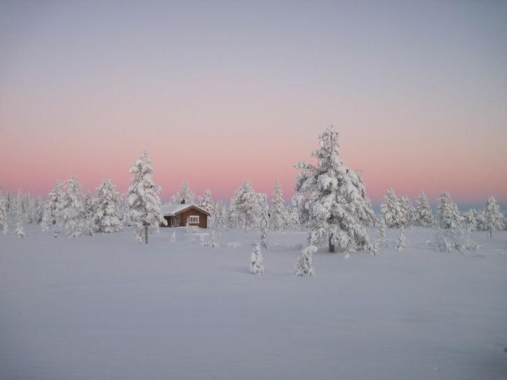 Rừng nhiệt đới Boreal, Na Uy.  