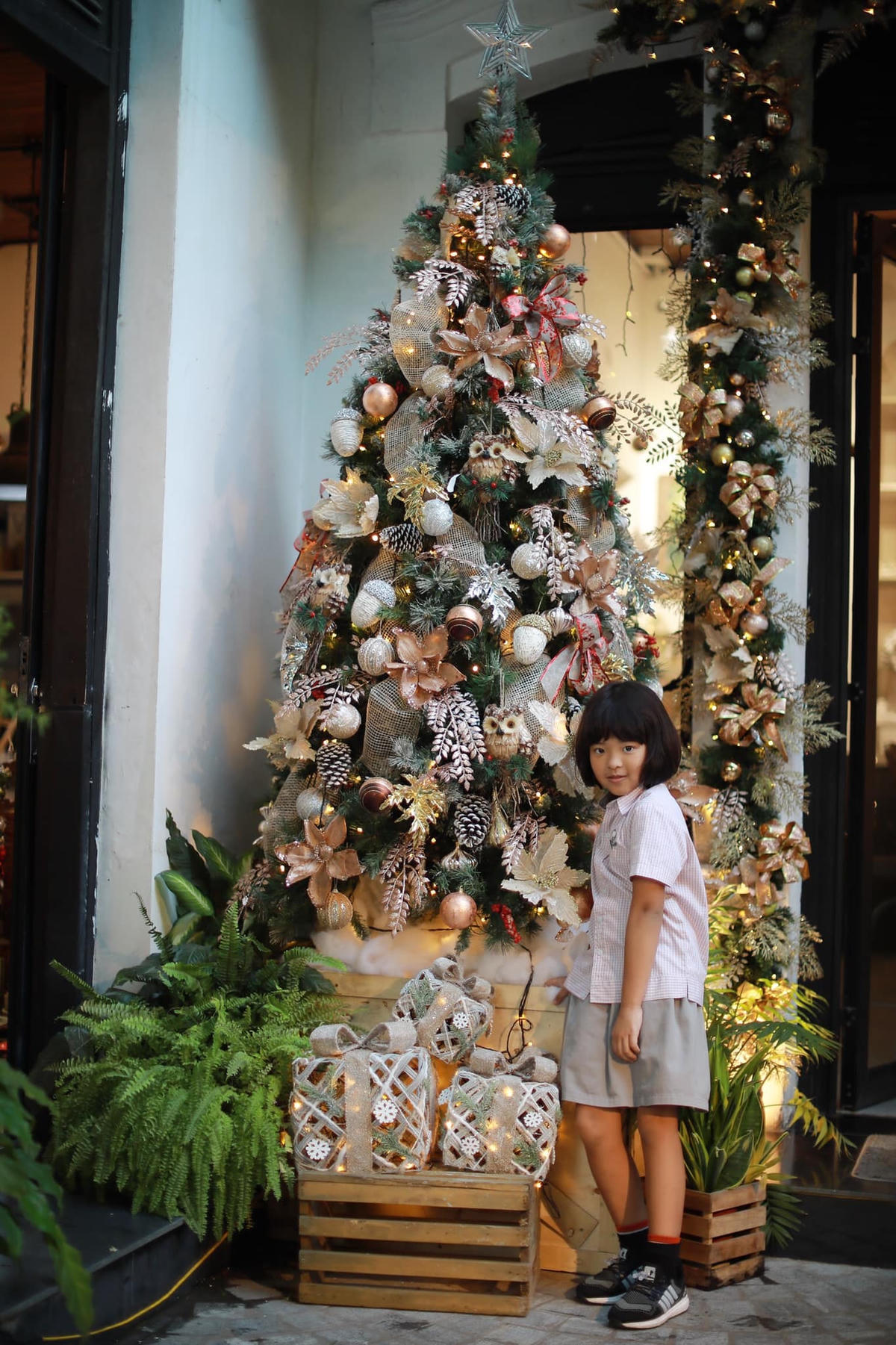 Cây thông được trang trí rất cầu kỳ tại Villa Des Fleurs. (Ảnh: FBNV).