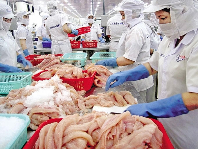 Xuất khẩu thủy sản bứt phá mạnh nhờ EVFTA.