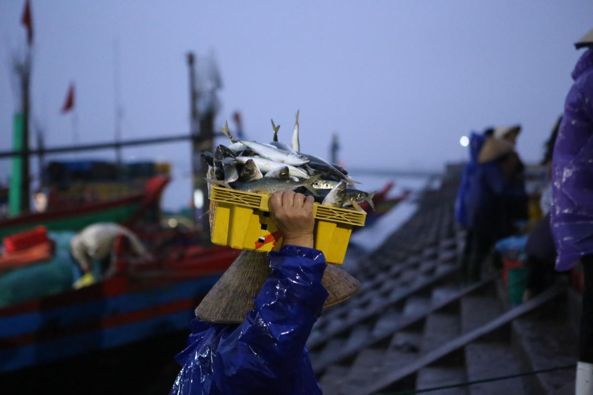 Những nữ phu làm nghề đội cá ở cảng Cửa Sót vất vả đưa cá lên bờ. 