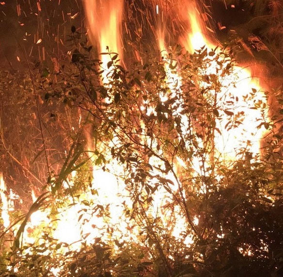 Hà Nội: Cháy lớn gần trường bắn Sóc Sơn