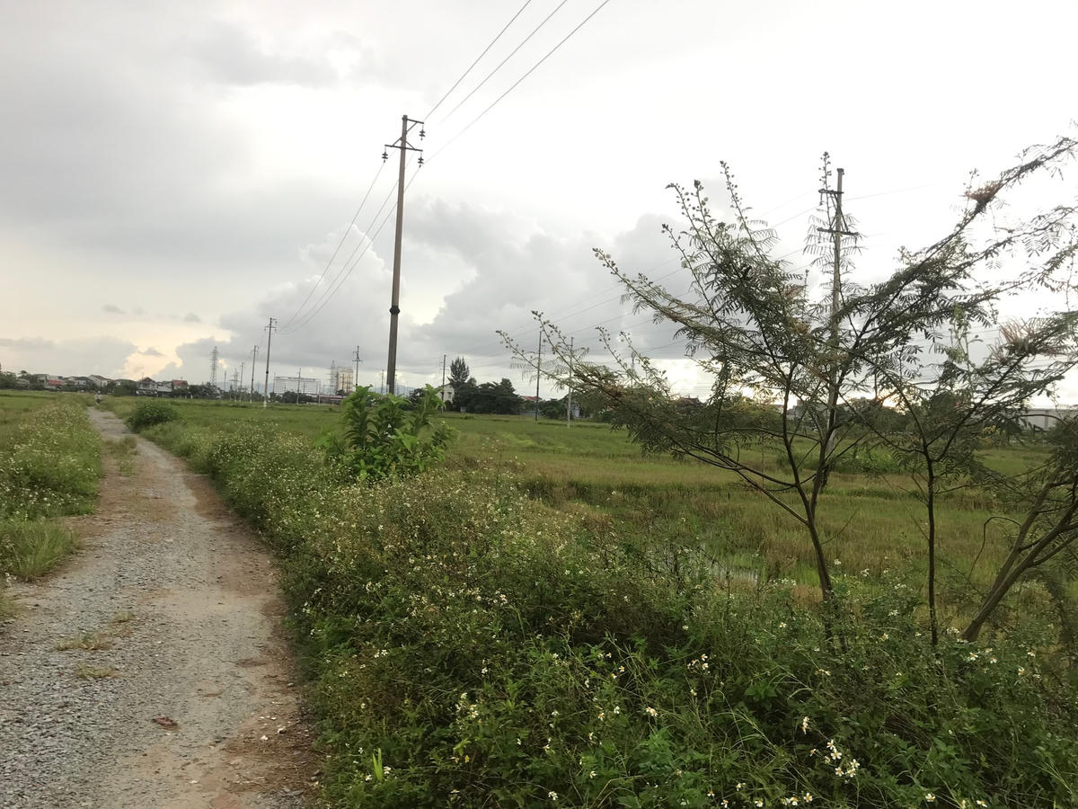 Làn sóng sốt đất đang càn quét ở vùng nông thôn Hà Tĩnh, gây nhiều hệ lụy khó lường.