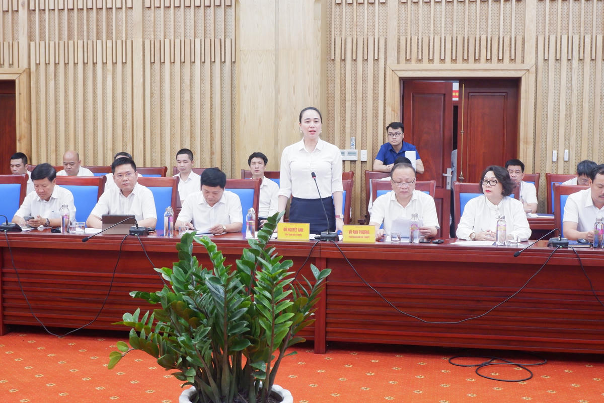 Bà Đỗ Nguyệt Ánh - TV HĐTV, Tổng Giám đốc Tổng công ty Điện lực miền Bắc phát biểu ý kiến tại buổi làm việc.