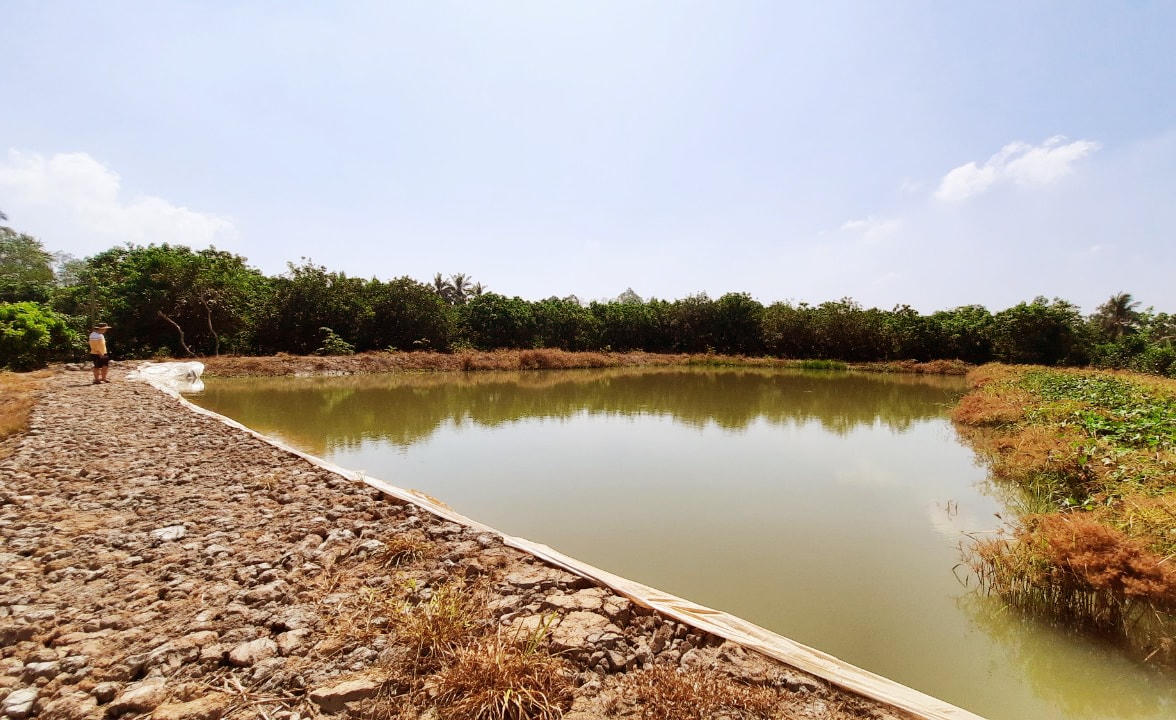 Người dân Vĩnh Long đã tự làm ao trong vườn để trữ nước ngọt cho trái cây.