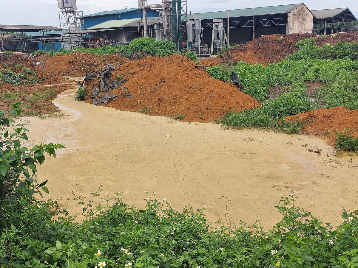 Nước thải màu vàng chảy ra từ bên trong nhà máy chế biến tinh bột sắn.