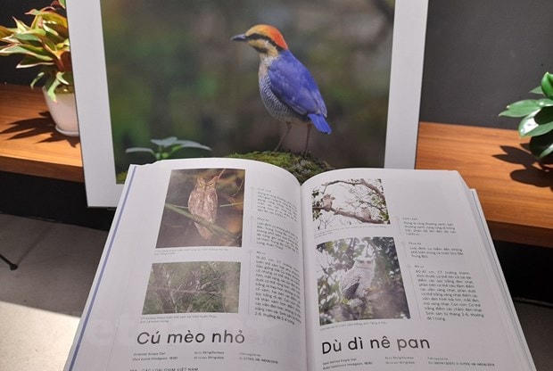 Những bức ảnh trong cuốn sách "Các loài chim Việt Nam." Ảnh: HV/Vietnam+.
