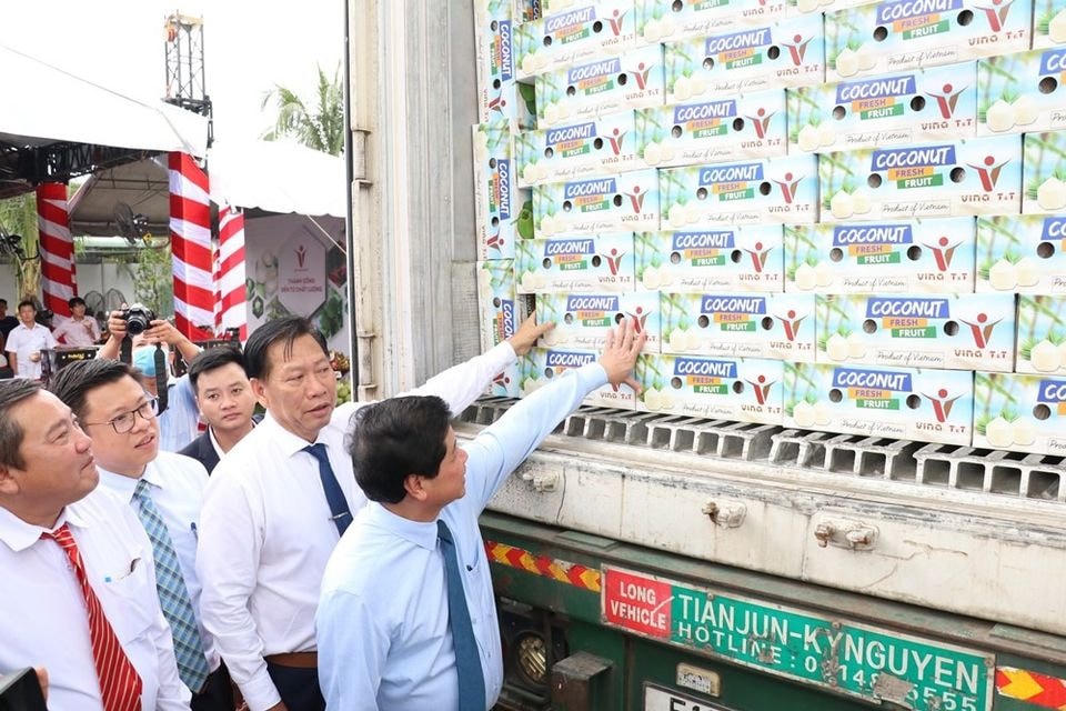 Kiểm tra mặt hàng dừa xuất sang EU.