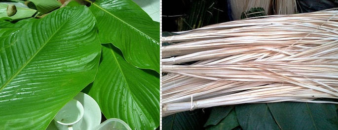 Bí kíp gói bánh chưng đẹp và vuông trong ngày Tết