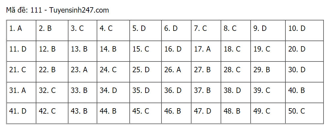 Đáp án (tham khảo) môn Toán thi tốt nghiệp THPT 2021 mã đề 111.