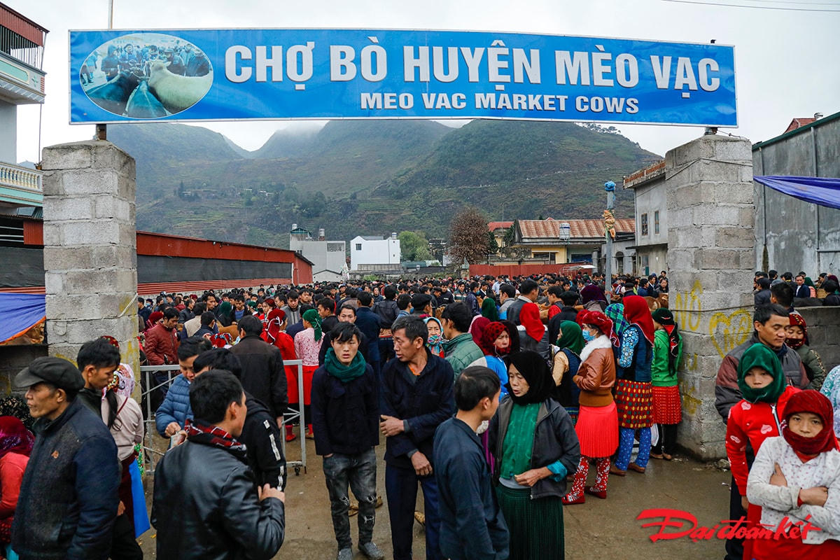 Hoạt động mua, bán tại chợ bò huyện Mèo vạc chủ yếu là đồng bào người Mông.