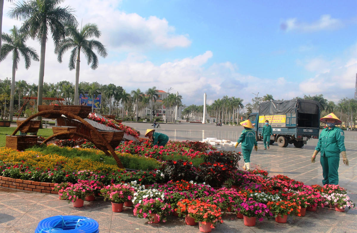 Hoa tươi đem đến Quảng trường 24/3, TP Tam Kỳ để trang trí.