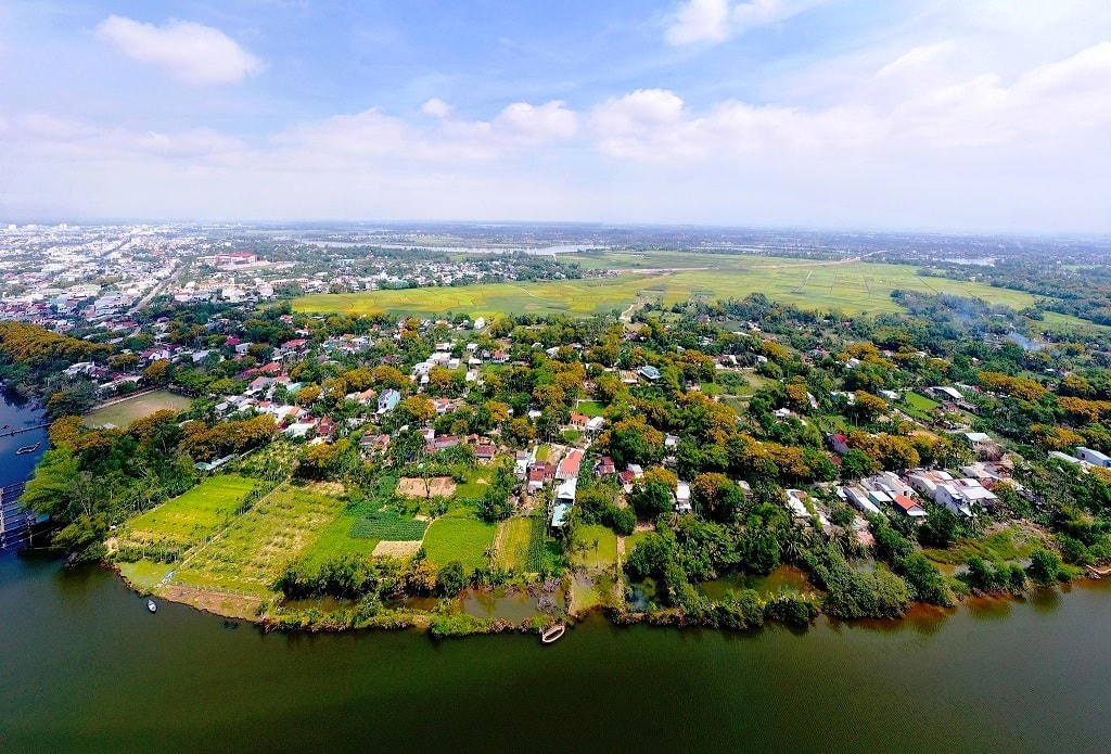 Hoa sưa đã trở thành “thương hiệu” riêng của vùng đất Tam Kỳ.