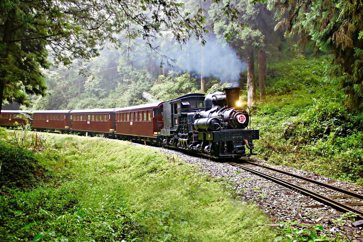  Alishan Forest, một trong những chuyến tàu thiên nhiên đẹp nhất Đài Loan. Ảnh: Alishan Forest.