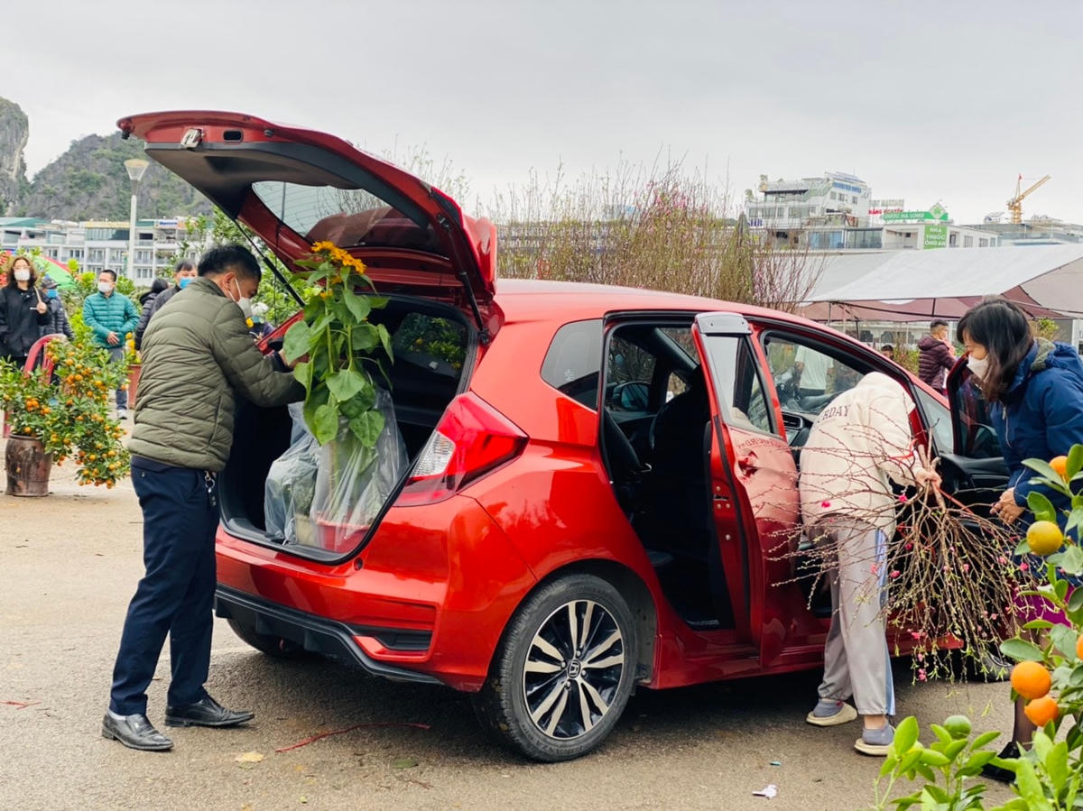 Ngày 29 Tết cũng chính là dịp để người dân có thể "tậu" được những loại cây trang trí nhà cửa với mức giá rẻ.