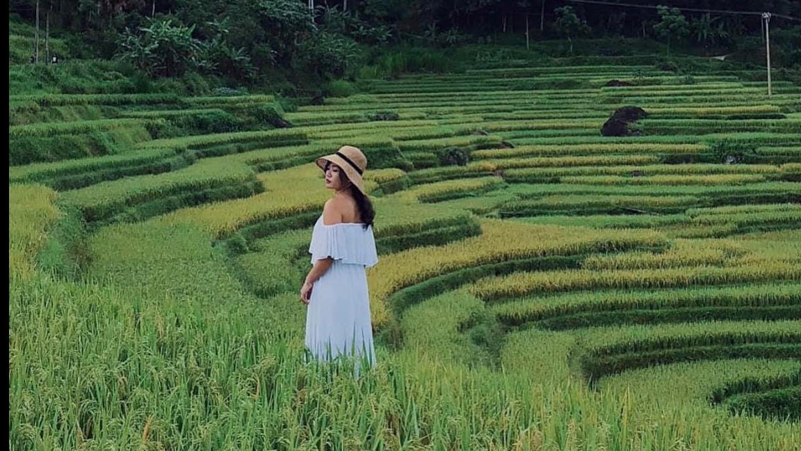 Khung cảnh Pù Luông xanh mát mắt khiến tâm hồn dễ chịu. (Ảnh: @wecheckinvn).