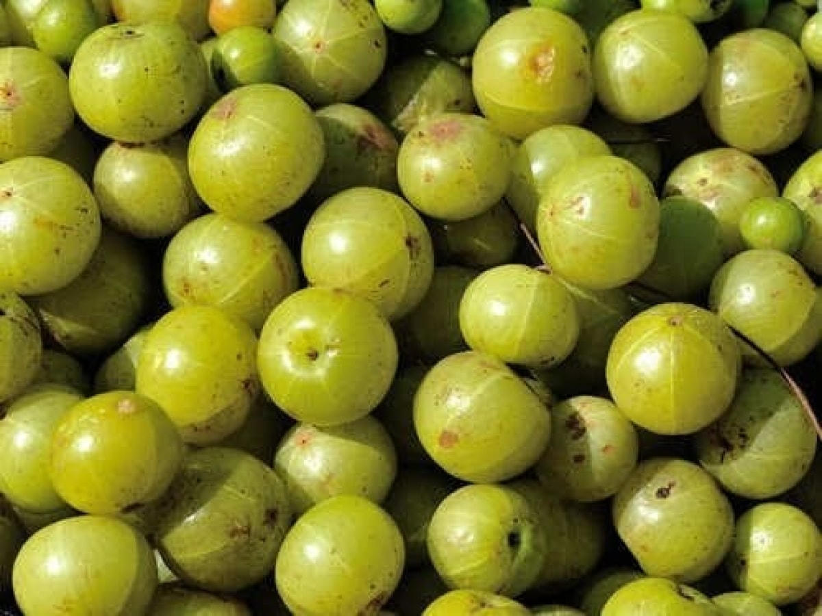 Muốn sống lâu, hãy ăn thực phẩm này hàng ngày