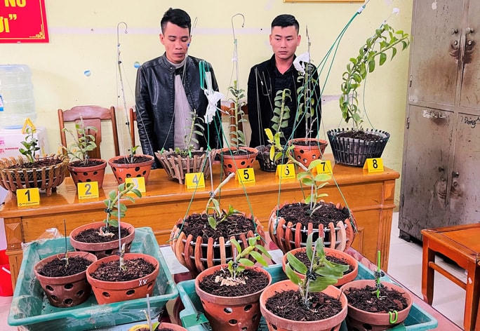 Hai thanh niên chuyên trộm cắp lan đột biến