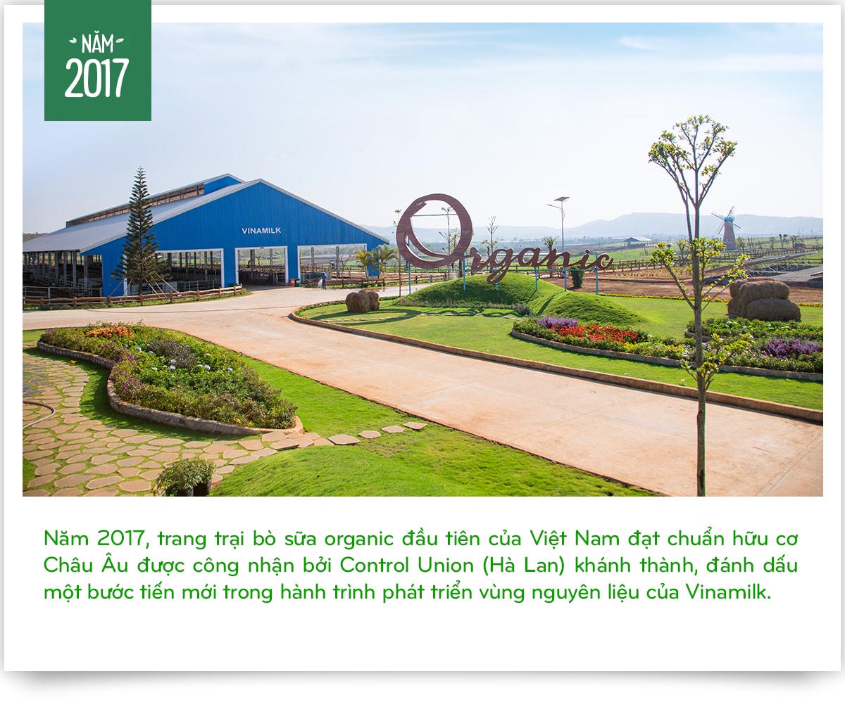 Vinamilk: 15 năm xây hệ thống trang trại bò sữa với 'bộ sưu tập' tiêu chuẩn quốc tế