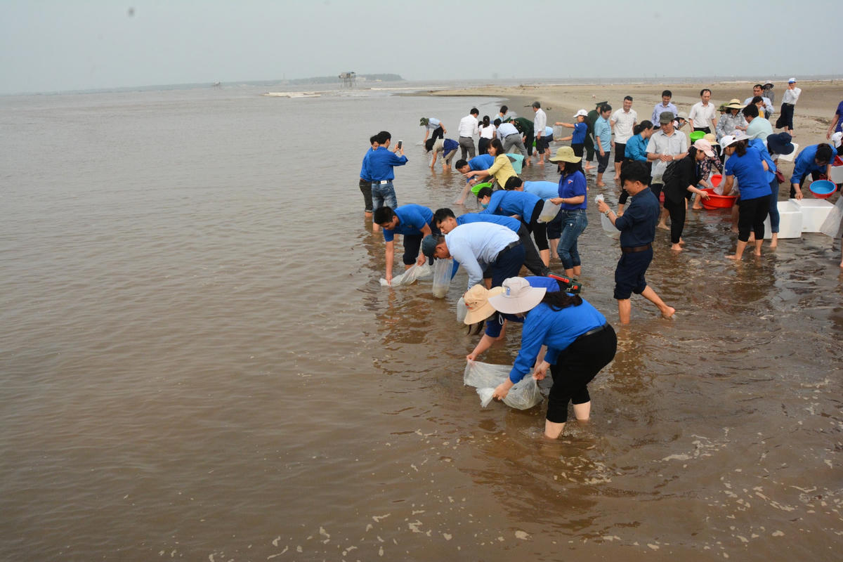Hơn 1 triệu con giống thủy sản vừa được thả xuống Vườn Quốc gia Xuân Thủy.
