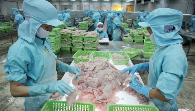 DN chế biến, bảo quản thủy sản và các sản phẩm từ thủy sản nằm trong đối tượng được giảm giá điện lần 5.