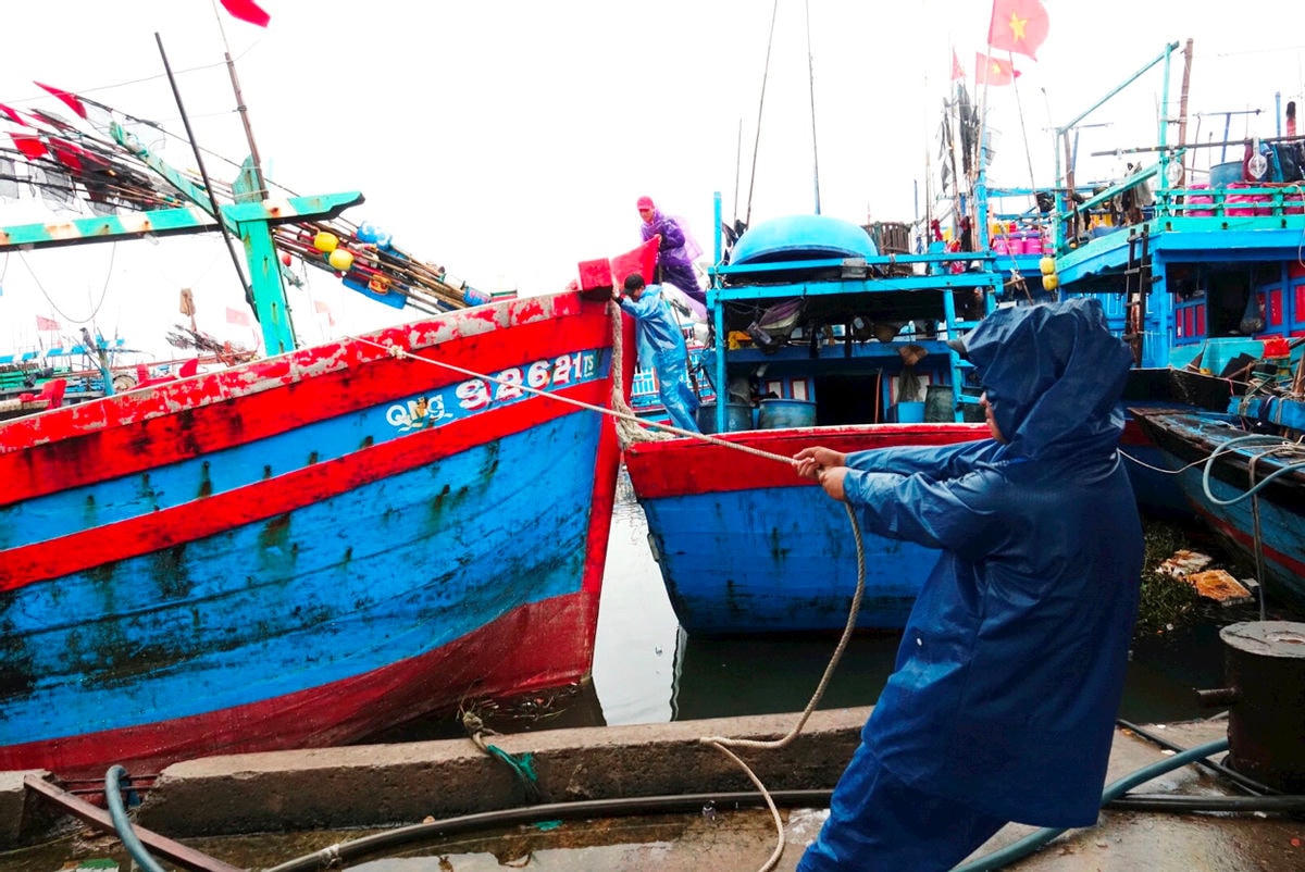Ngư dân Quảng Ngãi neo tàu an toàn tại khu tránh, trú bão