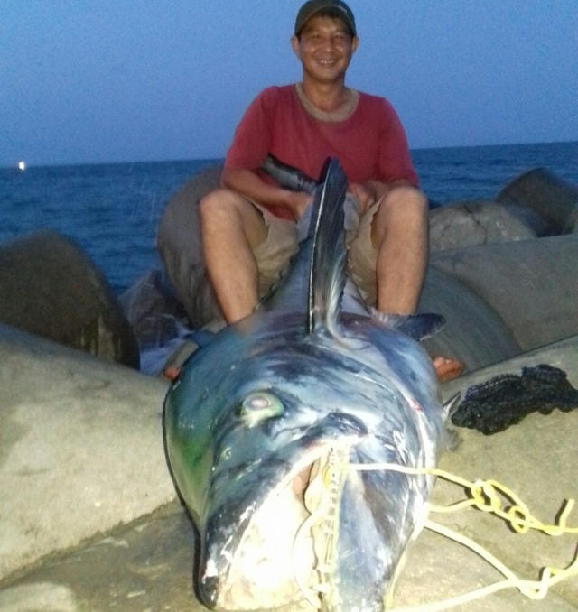 [VIDEO] Xôn xao câu chuyện cần thủ tóm gọn con cá 'khủng' bơi lạc vào bờ