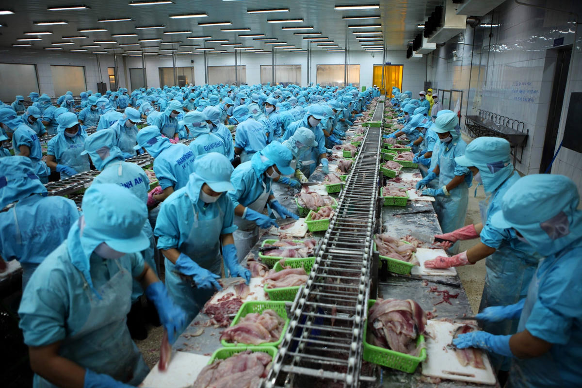 Người lao động tại Công ty CP Thuỷ sản Hà Nội - Cần Thơ. Ảnh: Vũ Phong.