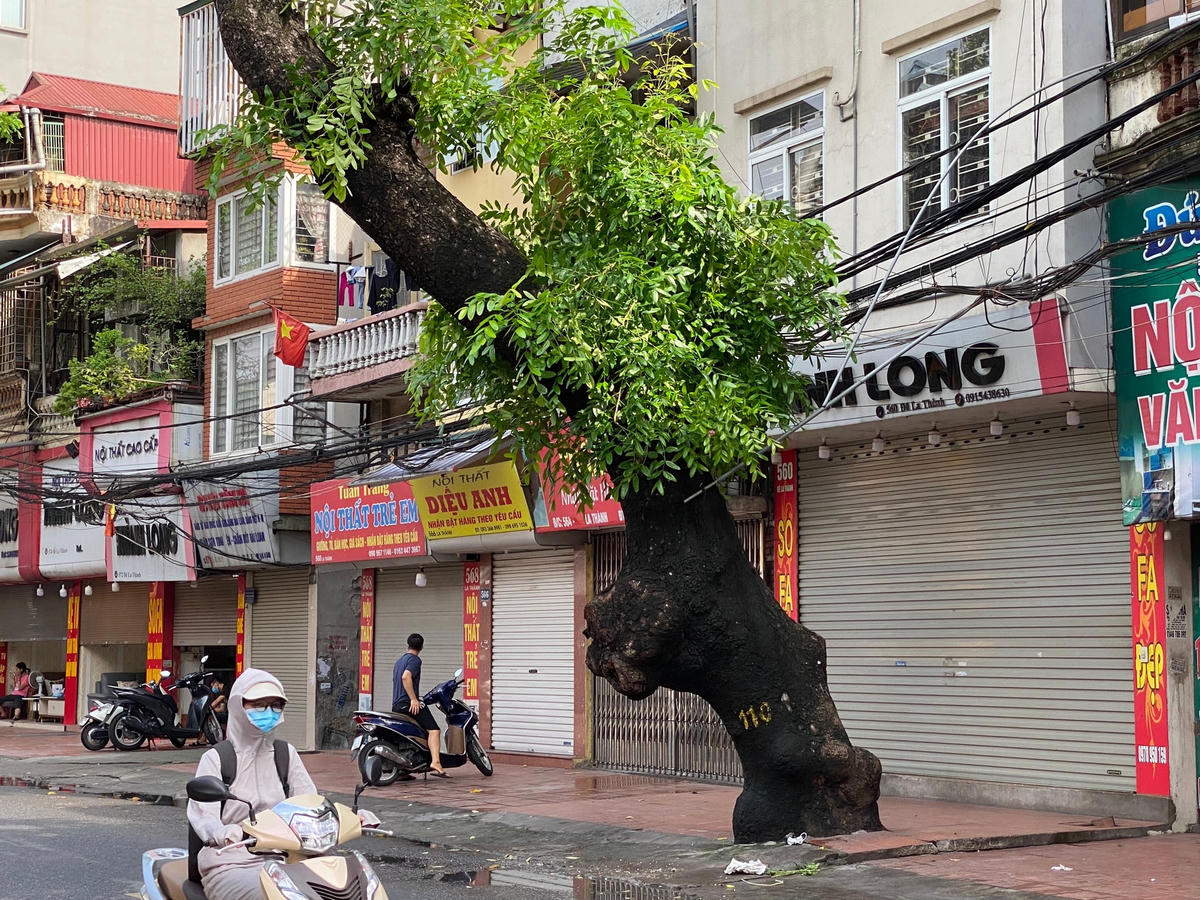 Tuyến phố Đê La Thành thường khá đông đúc, đặc biệt vào giờ cao điểm. Nhưng trong sáng nay, tuyến phố trở nên vắng vẻ, các cửa hàng gần như đóng cửa hoàn toàn. 