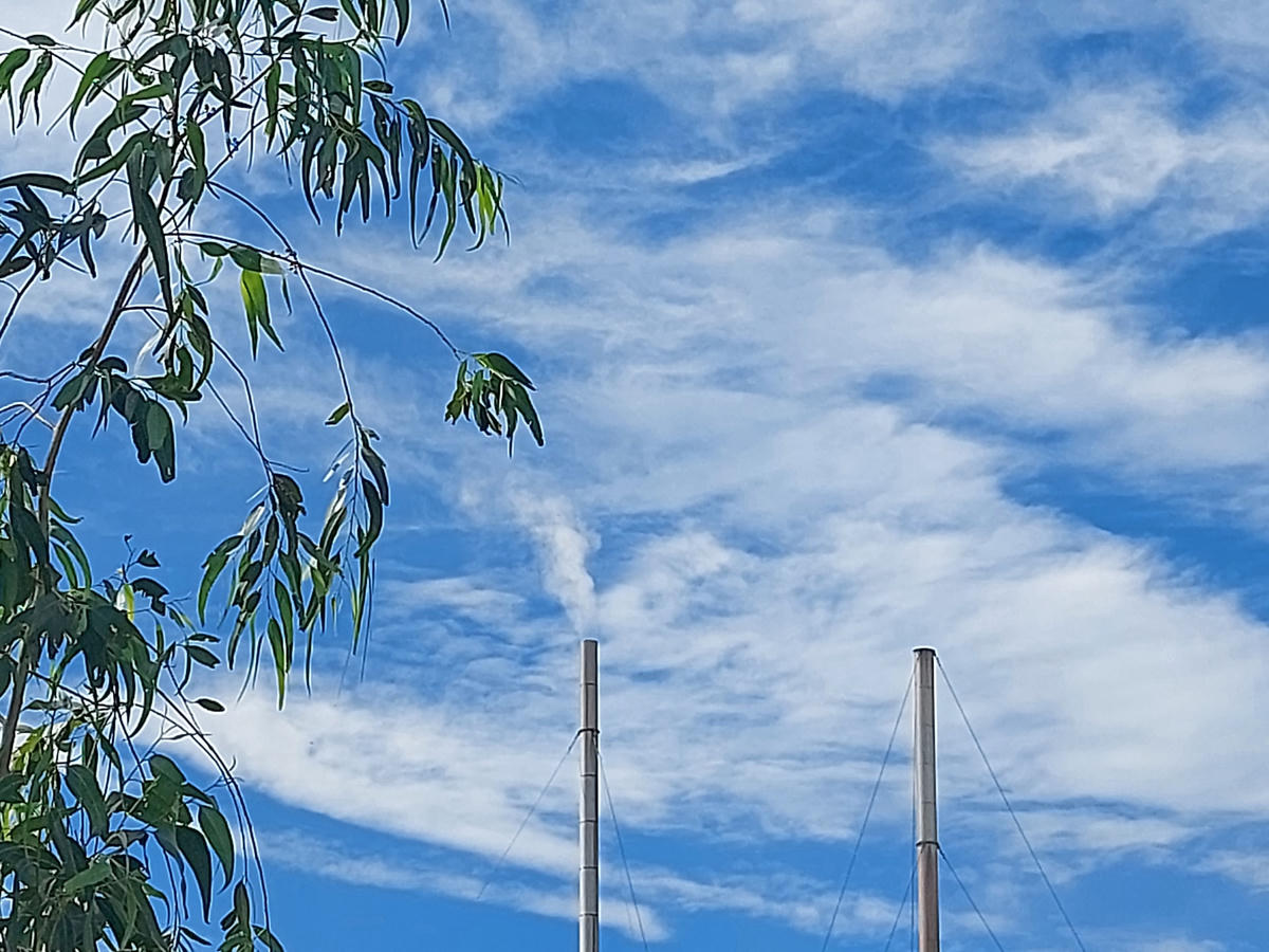 Nhà máy chế biến cá Ngọc Sơn xả khói ra môi trường trong thời gian tạm dừng hoạt động.