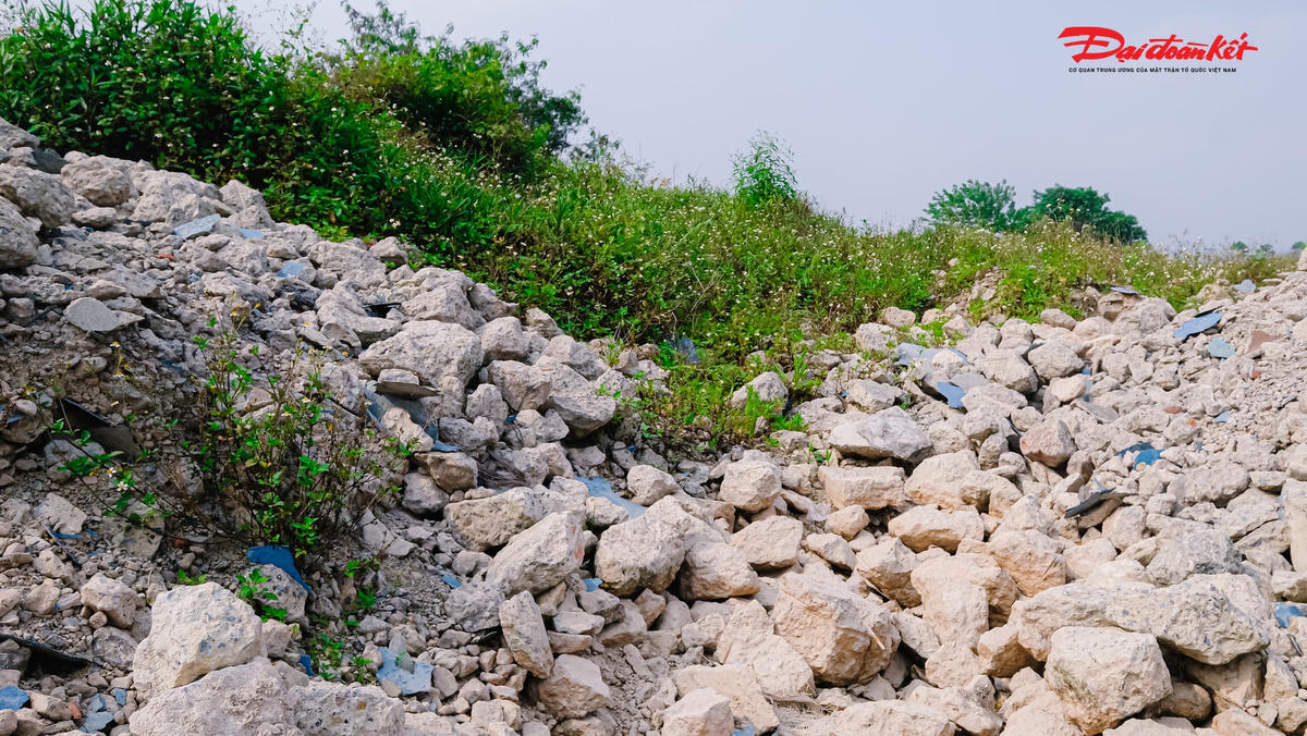 Công viên Thanh Hà được xây dựng hàng trăm tỷ giờ chỉ còn lại gạch đá, cỏ mọc um tùm.