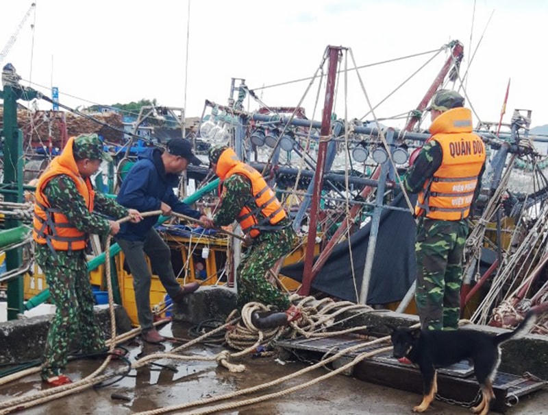 Cán bộ, chiến sỹ Đồn BP Quảng Đức (huyện Hải Hà, Quảng Ninh) giúp ngư dân  gia cố, chằng buộc tàu thuyền tránh trú bão.
