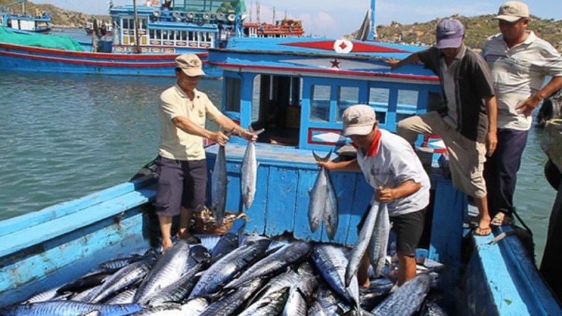 Việt Nam đã đạt được nhiều tiến bộ trong việc thực thi các khuyến nghị của phía EC.  