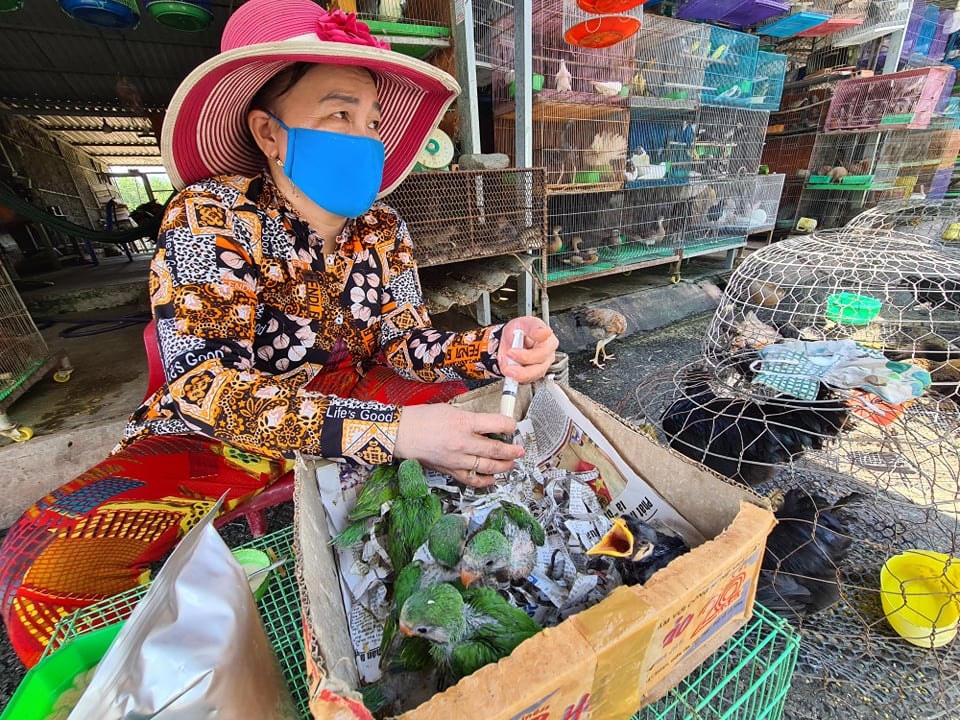 Nhiều loại chim hoang dã được bày bán tại chợ nông sản Thạnh Hóa.
