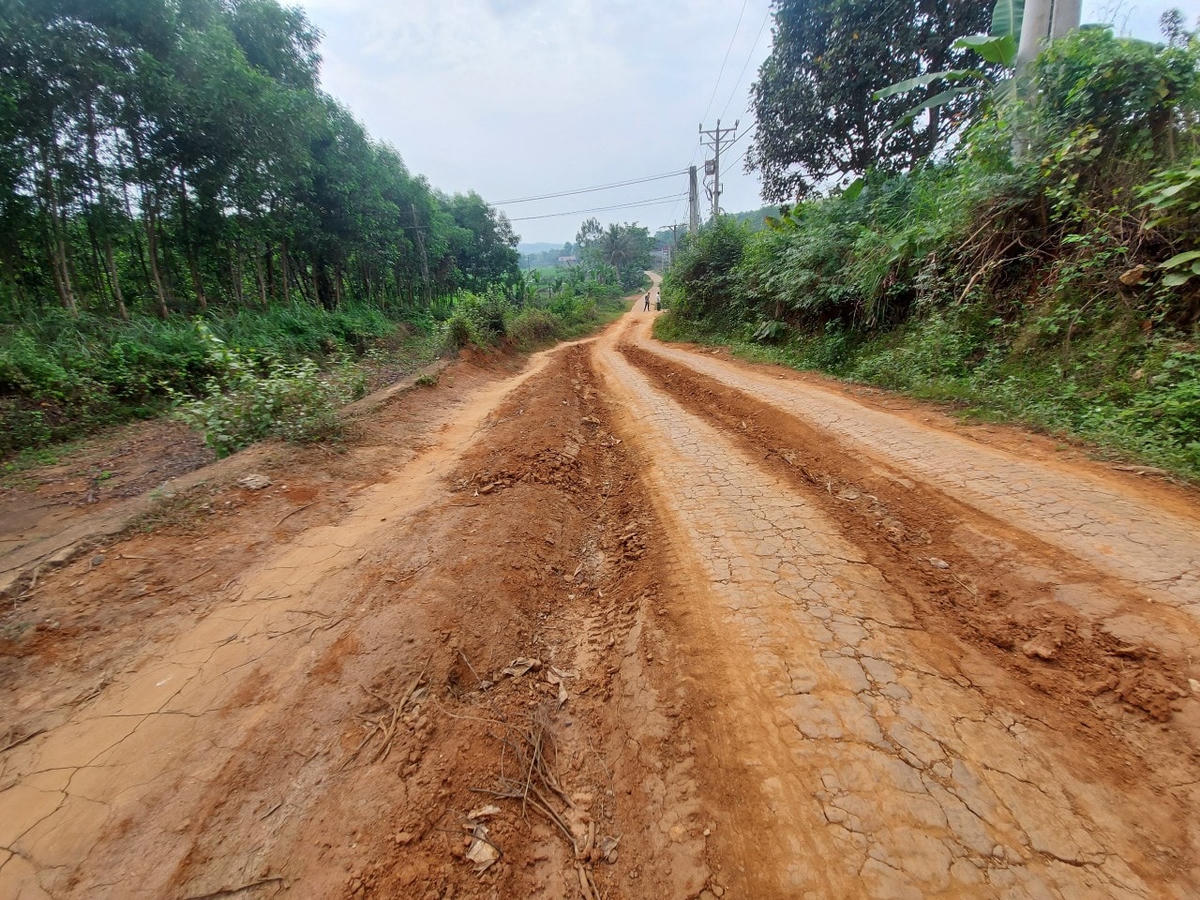Đường vào bản Mát.