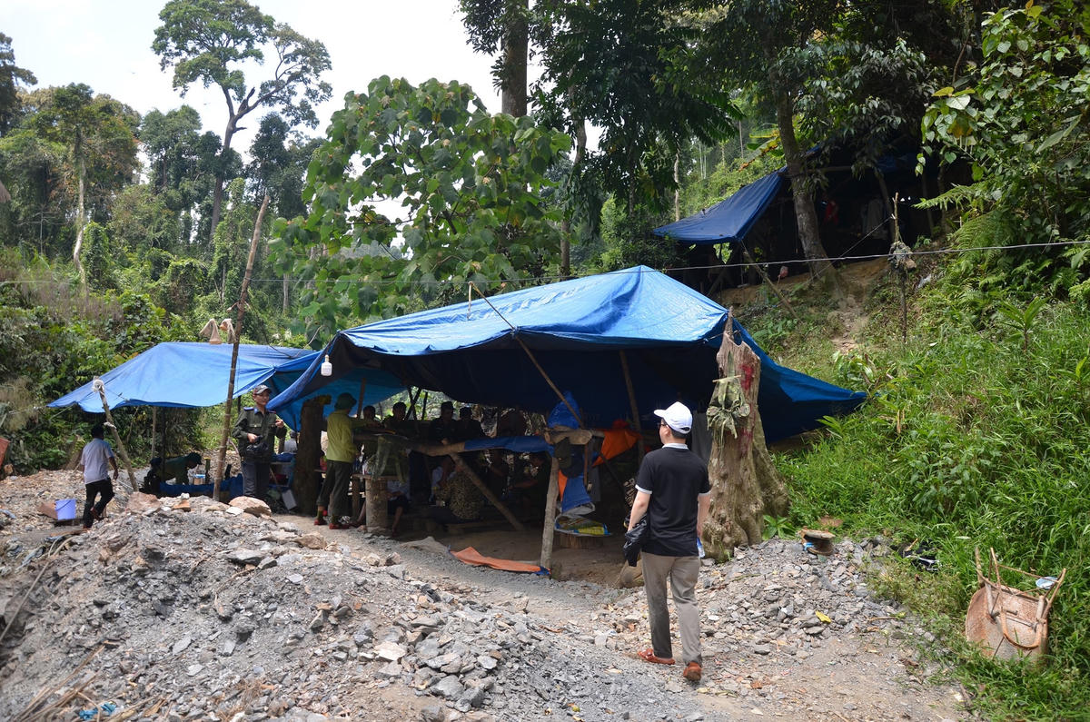 Một góc VQG Sông Thanh nơi những kẻ khai thác vàng trái phép dựng lều để ở.