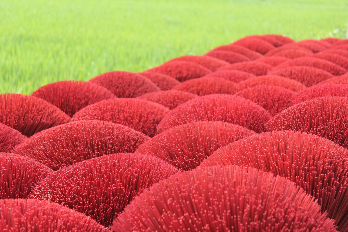 Ảnh: Việt Khánh.