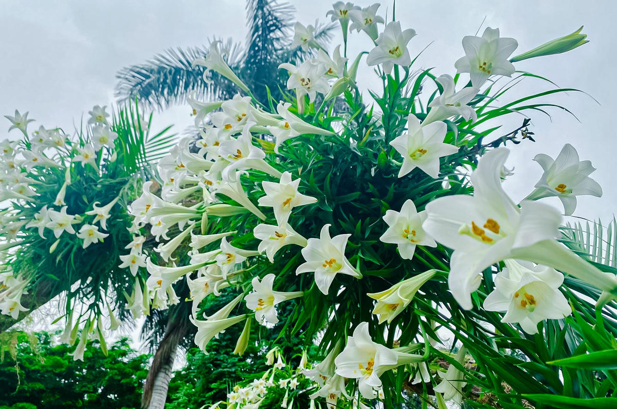 "Để kỷ niệm dịp sinh nhật của thương hiệu, với mong muốn mang lại những trải nghiệm đẹp nhất cho khách hàng đến với quán. Do vậy, những năm gần đây, chúng tôi luôn nỗ lực tạo dựng những không gian chụp ảnh đẹp dành cho quán”, chị Thủy cho biết.