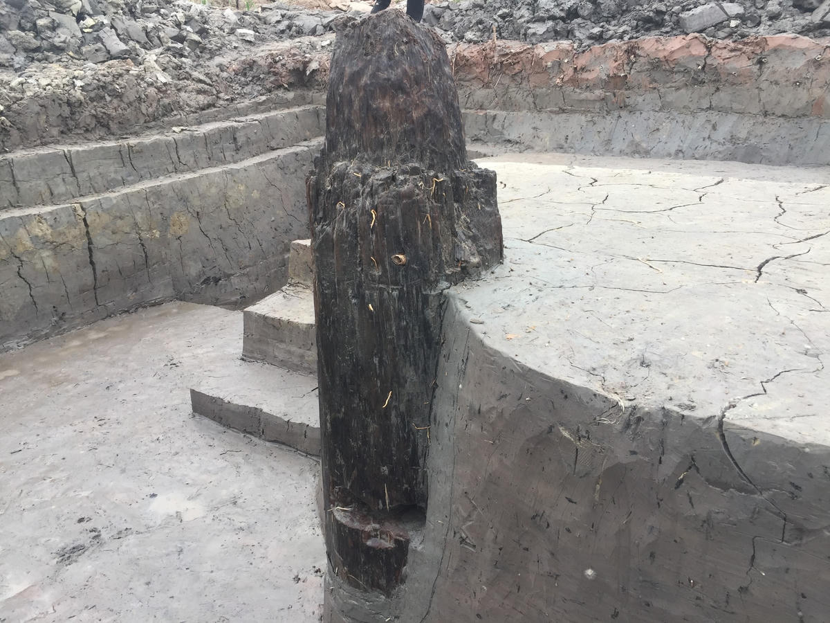Các cột gỗ lớn được chôn thẳng hàng với khoảng cách đều nhau.