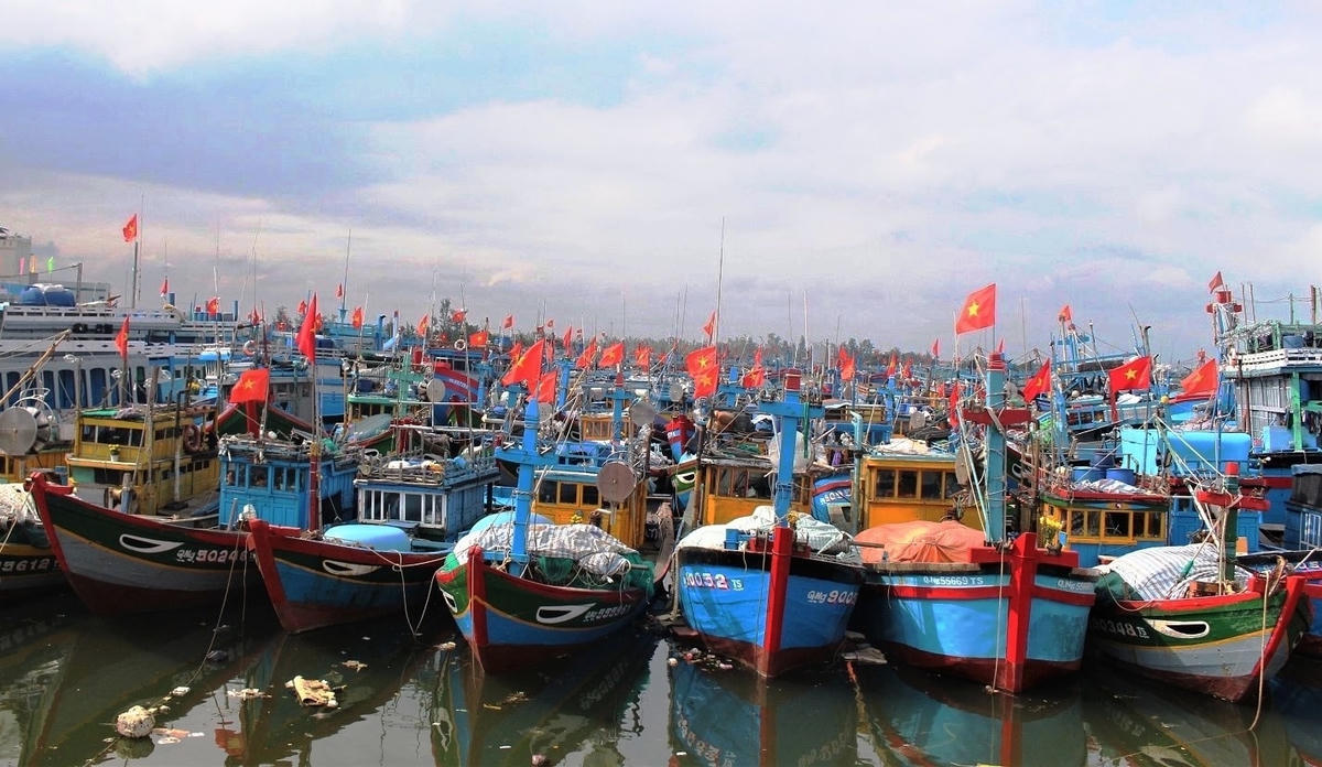 Nhiều tàu thuyền chưa vươn khơi do xăng dầu tăng giá.  